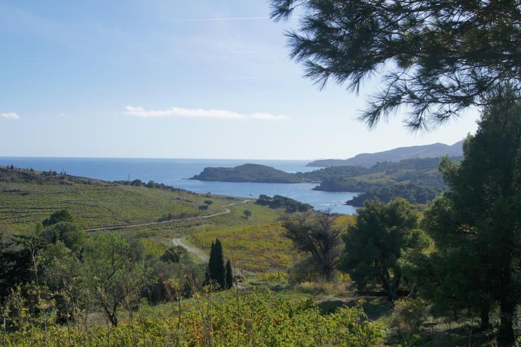 Kazadiza Superbe T4, Classe 3 Etoiles, Sur Le Port Port Vendres Zewnętrze zdjęcie